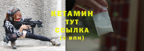 дживик Гусь-Хрустальный