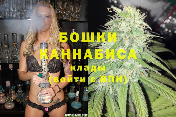 дурь Гусиноозёрск