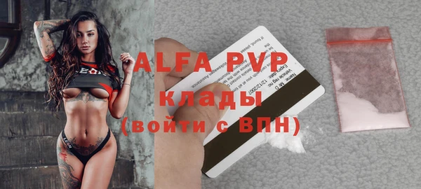 дживик Гусь-Хрустальный