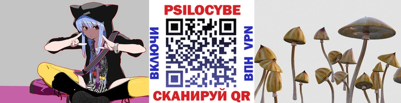 Галлюциногенные грибы ЛСД  Могоча 